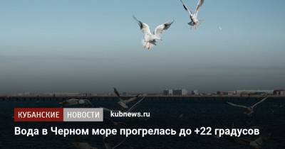 Вода в Черном море прогрелась до +22 градусов