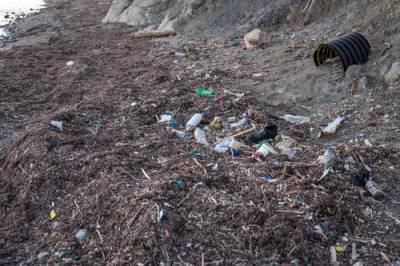 В Крыму создадут единое государственное предприятие по переработке мусора