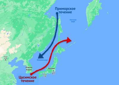 Охотская дамба, сахалинизация России по Чубайсу и ввод в строй БелАЭС