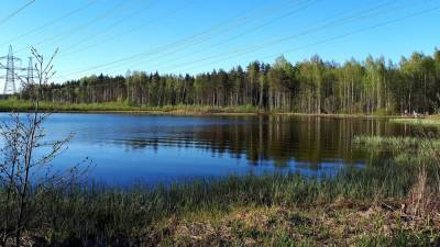 Семья с двумя детьми утонула на озере в Карелии