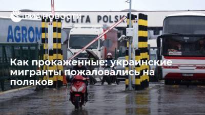 Украинские гастарбайтеры пожаловались, что поляки считают их "прокаженными"