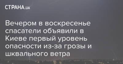 Вечером в воскресенье спасатели объявили в Киеве первый уровень опасности из-за грозы и шквального ветра