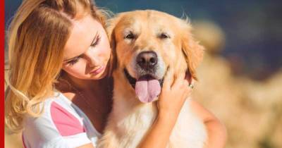 Обаятельные и привлекательные: топ-8 самых милых пород собак