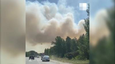Новости на "России 24". Лесной пожар перекрыл трассу Тюмень – Омск