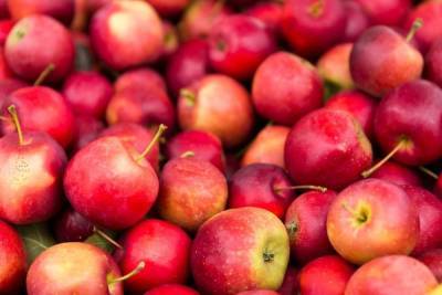 Около 700 килограммов польских яблок не доехали до магазинов Петербурга
