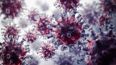Страны G7 призвали продолжить расследование происхождения коронавируса