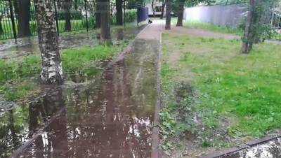 Петербуржцы сообщили о потопе на Замшиной улице