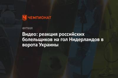 Видео: реакция российских болельщиков на гол Нидерландов в ворота Украины