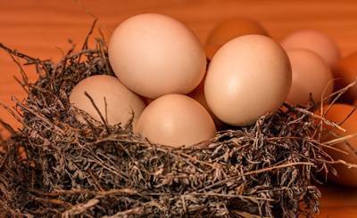 Sohu (Китай): как правильно выбрать свежие куриные яйца? Узнайте об этих трех способах и выберите подходящий себе!