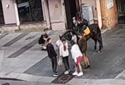 Лошадь не оценила трюк экстремала на улице Рубинштейна