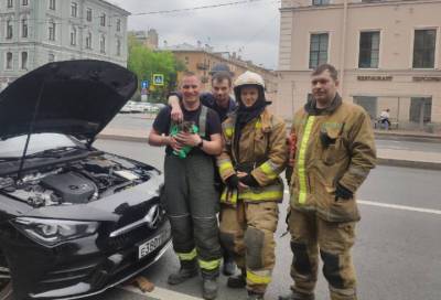 Петербургские спасатели вытащили котёнка, застрявшего в машине