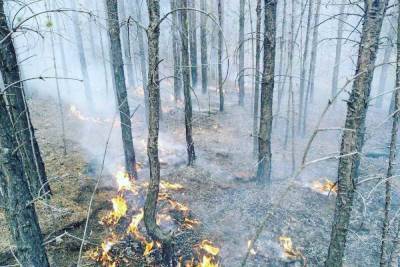В Бурятии потушили лесной пожар около населённого пункта