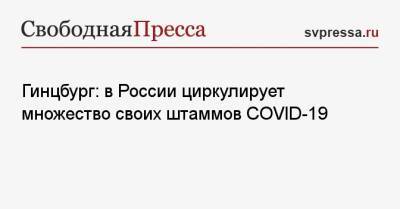 Гинцбург: в России циркулирует множество своих штаммов COVID-19