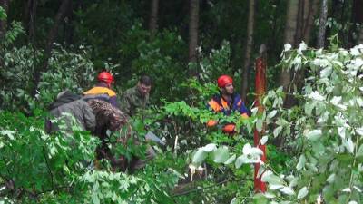 Спасатели нашли пропавшего мальчика на горе Фалаза в Приморье