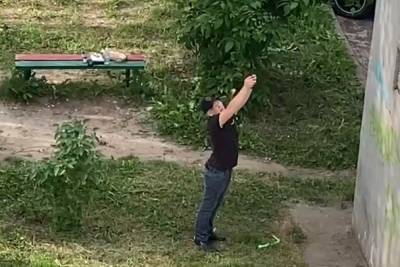 В Ярославле мужчина из пистолета расстреливал голубей