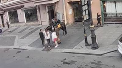 В Петербурге скейтер столкнулся с лошадью и попал в больницу