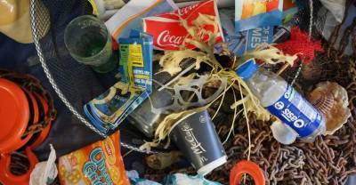 Половина мусора в океанах оказалась упаковкой от еды и напитков навынос