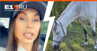 «Начался отек, вызвала скорую»: девушку-блогера из Екатеринбурга покусала лошадь на горе Лиственной