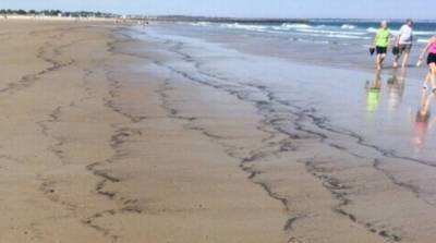 Странные дела: на пляж в США выбросило миллионы неизвестных насекомых