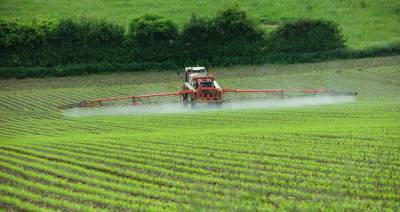 Швейцарцы намерены проголосовать на референдуме за запрет пестицидов