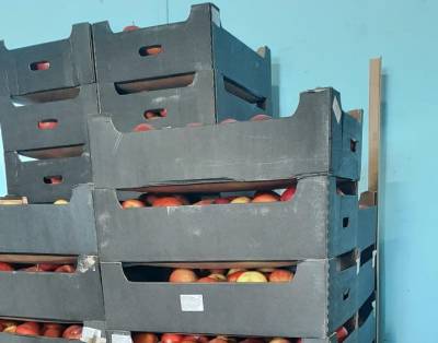 Более 600 килограммов польских яблок было уничтожено в Ленобласти