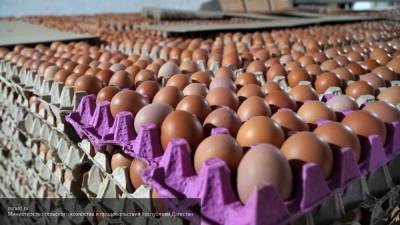В Китае назвали три способа, которые помогут купить свежие яйца