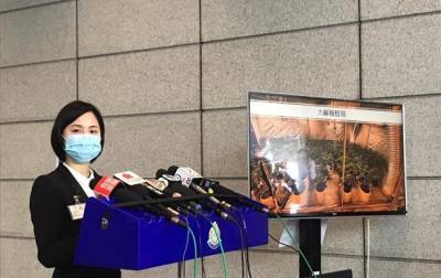 В Гонконге арестовано 184 человека в ходе операции по борьбе с наркотиками