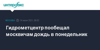 Гидрометцентр пообещал москвичам дождь в понедельник