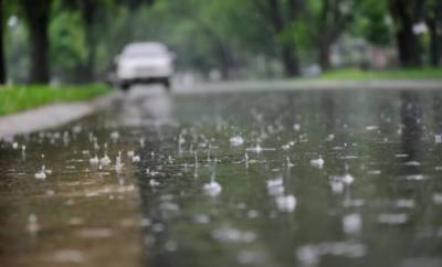 В Ленобласти 14 июня местами ожидаются дожди и грозы