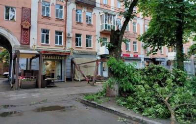 Непогода в Украине: смерч и поваленные деревья