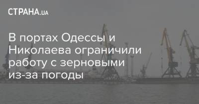 В портах Одессы и Николаева ограничили работу с зерновыми из-за погоды