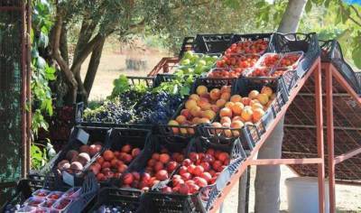 В Украине из-за дождей заоблачные цены на сезонные фрукты и овощи