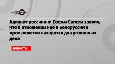 Адвокат россиянки Софьи Сапеги заявил, что в отношении нее в Белоруссии в производстве находится два уголовных дела