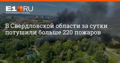 В Свердловской области за сутки потушили больше 220 пожаров