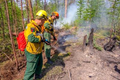 Гроза подожгла лес в Койгородском районе