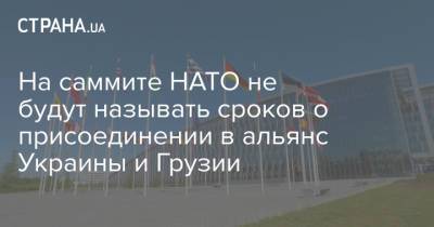 На саммите НАТО не будут называть сроков о присоединении в альянс Украины и Грузии