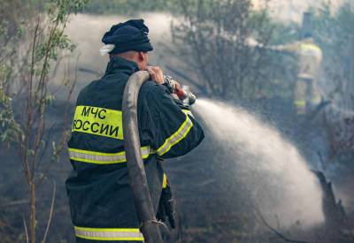 На востоке России бушуют лесные пожары