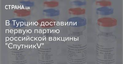 В Турцию доставили первую партию российской вакцины "СпутникV"