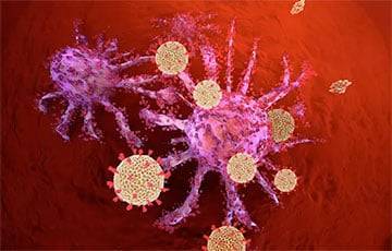 COVID-19 против рака: Когда иммунитет сам убивает опухоль