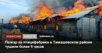 Пожар на птицефабрике в Тимашевском районе тушили более 9 часов