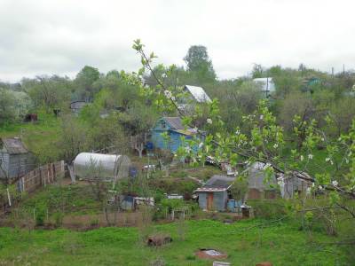 Только треть садоводческих товариществ сохранят в Нижнем Новгороде