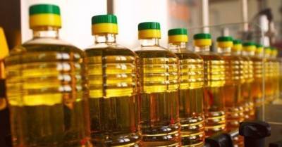 Экспорт подсолнечного масла из Украины вырастет до 20% — прогноз USDA