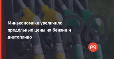 Минэкономики увеличило предельные цены на бензин и дизтопливо - thepage.ua