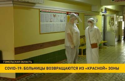 В Гомельской области из «красной» зоны вернулись 11 больниц. Осталось 14