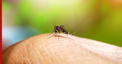 Народные методы: простые способы справиться с жжением после укусов комаров