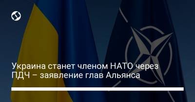 Украина станет членом НАТО через ПДЧ – заявление глав Альянса