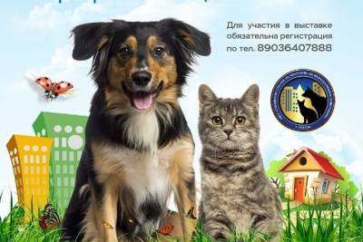 19 июня в рязанском Лесопарке пройдет выставка бездомных собак и кошек