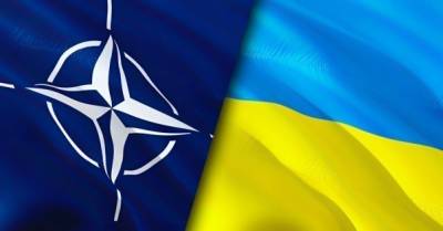 НАТО готово дать членство Украине через ПДЧ