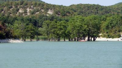 Спасение в долине Сукко: уникальное кипарисовое озеро в Анапе заполнилось водой