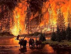 В Иркутской области горит более 35 тысяч га леса